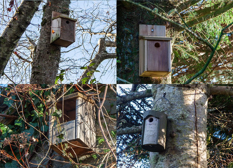 Bird Boxes at the Flower Farm Copyright Ken Leslie Photography