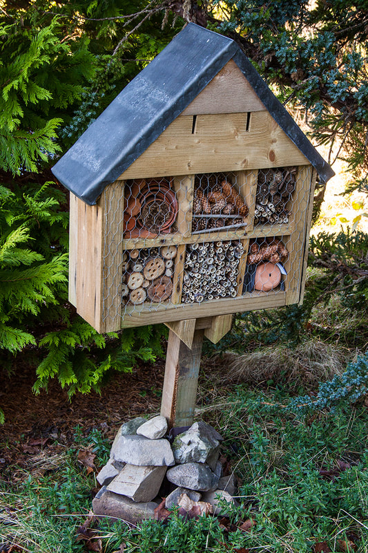 Bug Boxes to encourage natural insect predators at the Flower Farm in Dumfries & Galloway Copyright Ken Leslie Photography