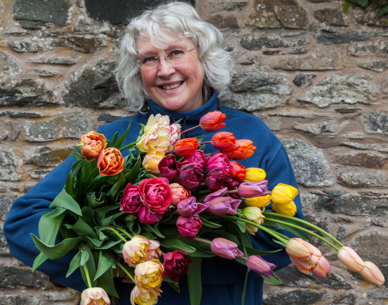 Flower Farmer & Florist Rosie Gray of Galloway Flowers with colourful Tulips. Copyright www.GallowayFlowers.co.uk