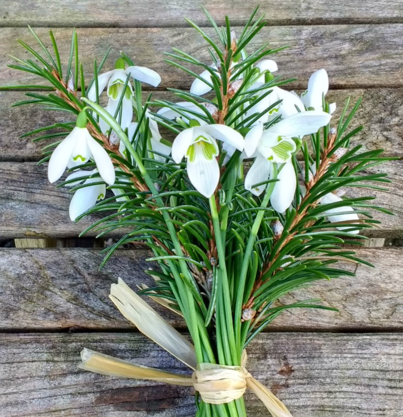 Snowdrop posy at Galloway Flowers