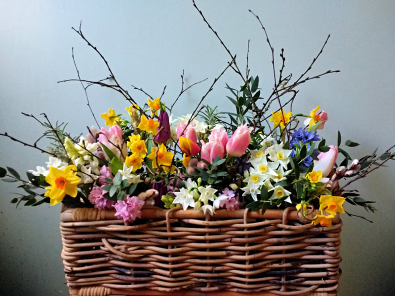 Spring Flower Basket copyright Rosie Gray, www.Gallowayflowers.co.uk