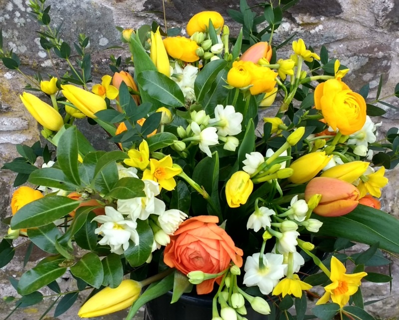 Spring Bouquet of British grown flowers including Tulips, Narcissi & Ranunculus. Copyright www.GallowayFlowers.co.uk