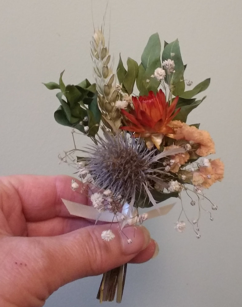 Grooms Buttonhole of dried flowers inc. Thistle, wheat, Helichrysum & Statice. Copyright www.GallowayFlowers.co.uk