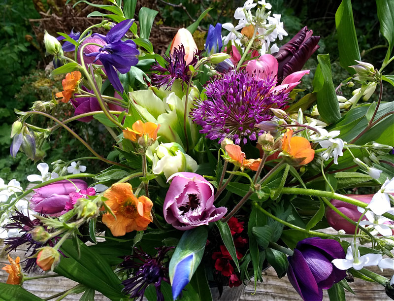 Bold & brilliant Bouquet of Spring locally grown flowers. Copyright www.GallowayFlowers.co.uk
