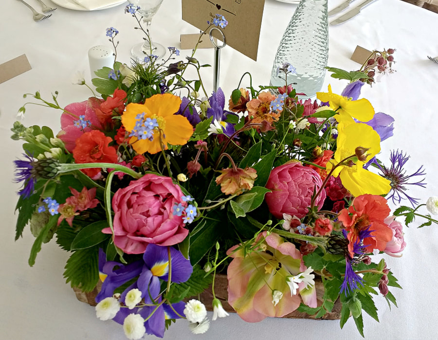 Spring flowers in bright colours on tables at Marquee wedding in Scotland. Copyright www.GallowayFlowers.co.uk