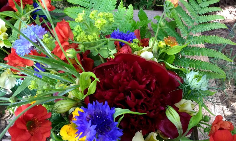 June wedding bouquet of bright colour flowers WeddingFlorist Dumfries & Galloway copyright www.GallowayFlowers.co.uk