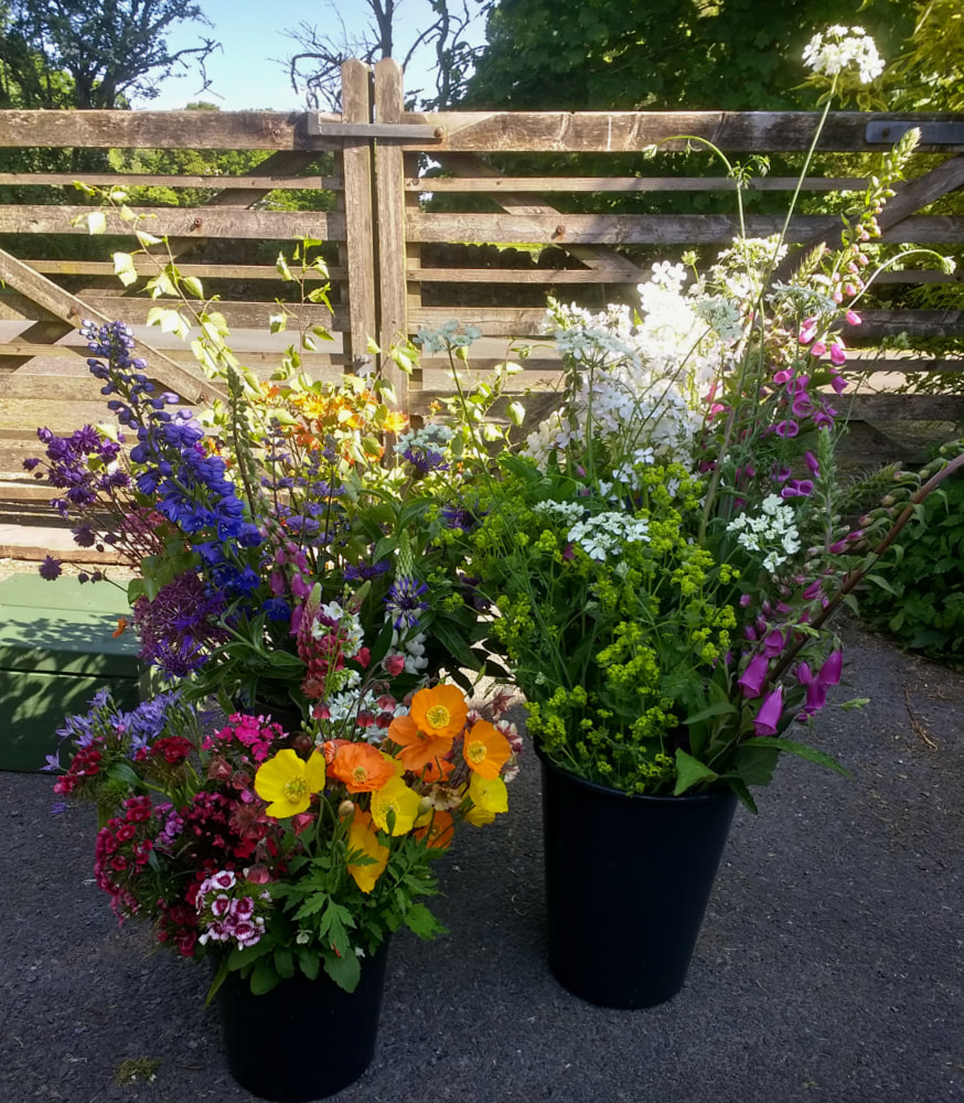 Buckets of locally grown seasonal flowers for a DIY Wedding in Scotland. Copyright www.GallowayFlowers.co.uk