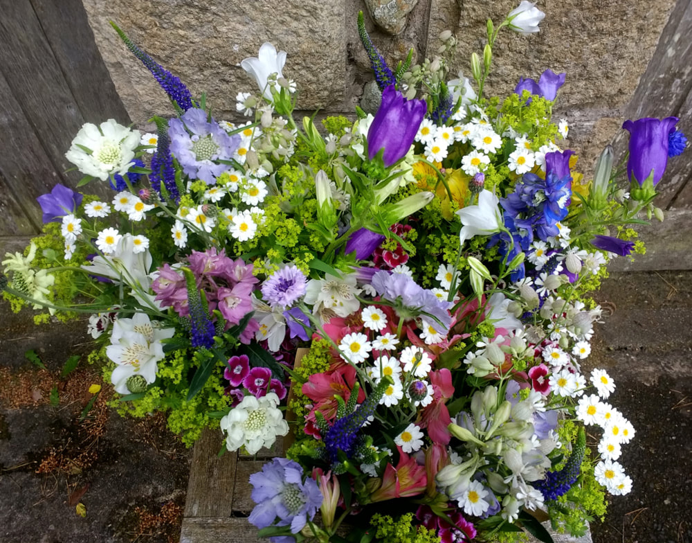 Country bunches of bright seasonal flowers  awaiting collection at flower farm in late June. Copyright www.GallowayFlowers.co.uk