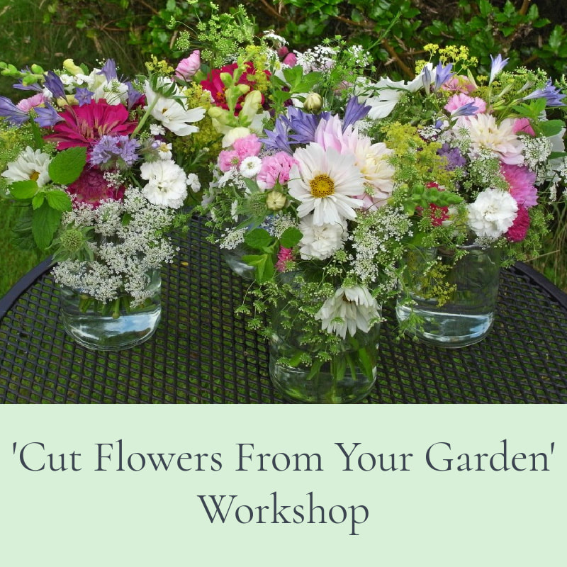 Cut Flowers From Your Garden workshop at Flower Farm in Scotland, copyright www.GallowayFlowers.co.uk