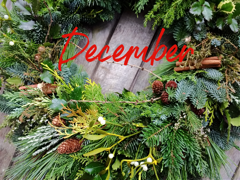 December Wreath of natural conifer, evergreen, mistletoe, & cones. copyright www.GallowayFlowers.co.uk