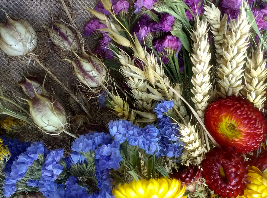 Selection of dried flowers ready for a wreathmaking workshop. Copyright www.GallowayFlowers.co.uk