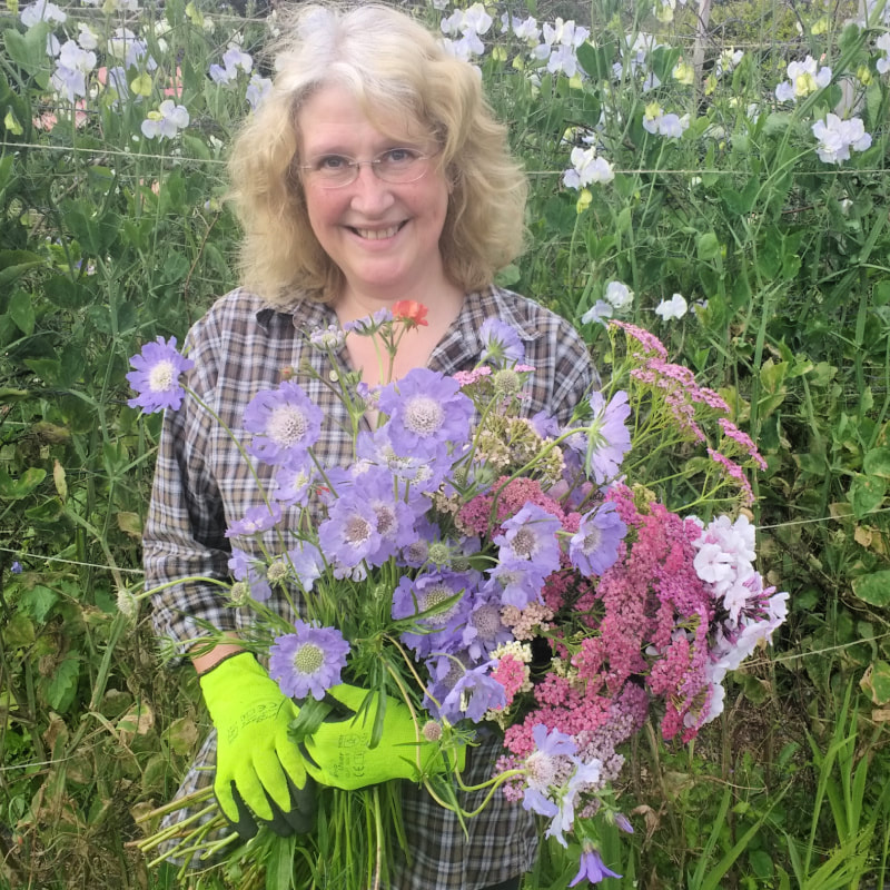 Rosie Gray, Flower Farmer & Artisan Florist in Scotland. Copyright www.GallowayFlowers.co.uk