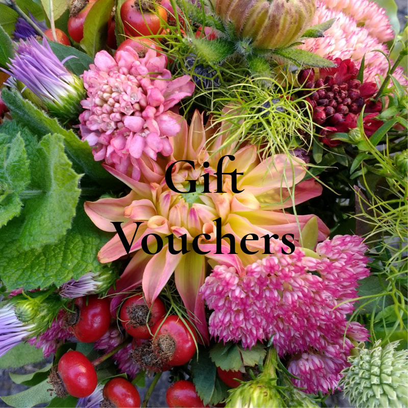 Gift Vouchers copyright www.GallowayFlowers.co.uk