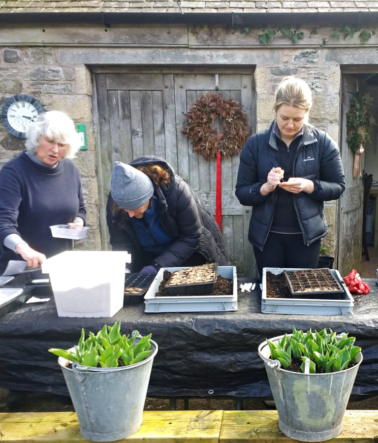 Sowing Seeds at gardening workshop. Copyright www,GallowayFlowers.co.uk