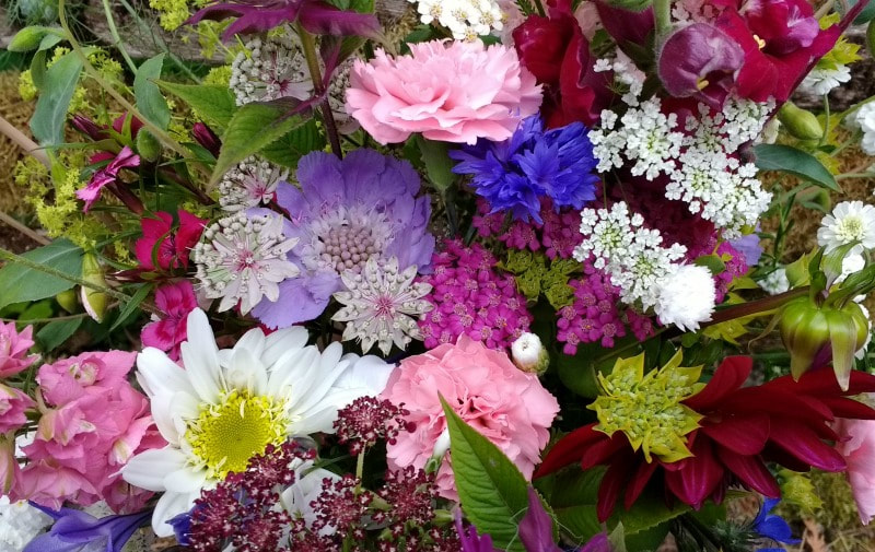bouquet of locally grown summer flowers. order online from florist near castle douglas Galloway Flowers