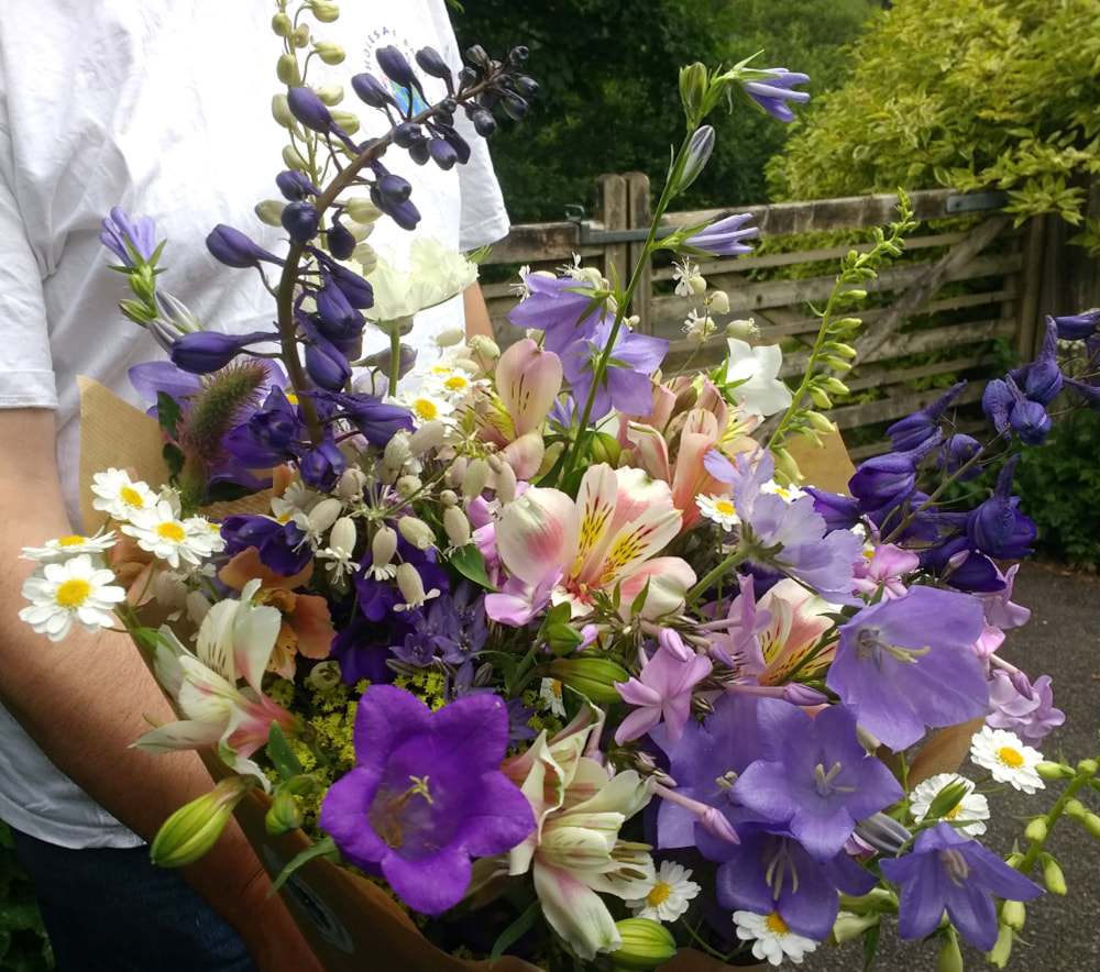 Colourful bouquet of cottage garden flowers, grown in Galloway, Scotland. Copyright www.GallowayFlowers.co.uk 