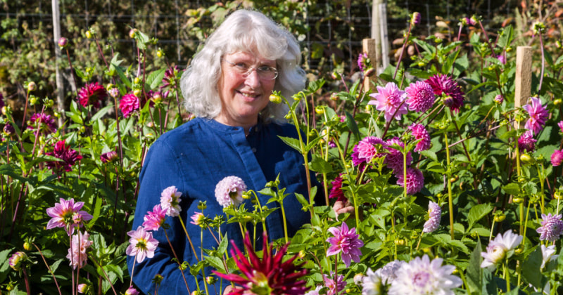 Rosie Gray, Flower Farmer & Florisst copyright www.GallowayFlowers.co.uk