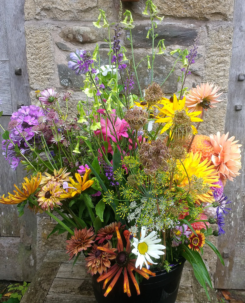 A bucket of mixed flowers at Flower Farm in Scotland. Copyright www.GallowayFlowers.co.uk