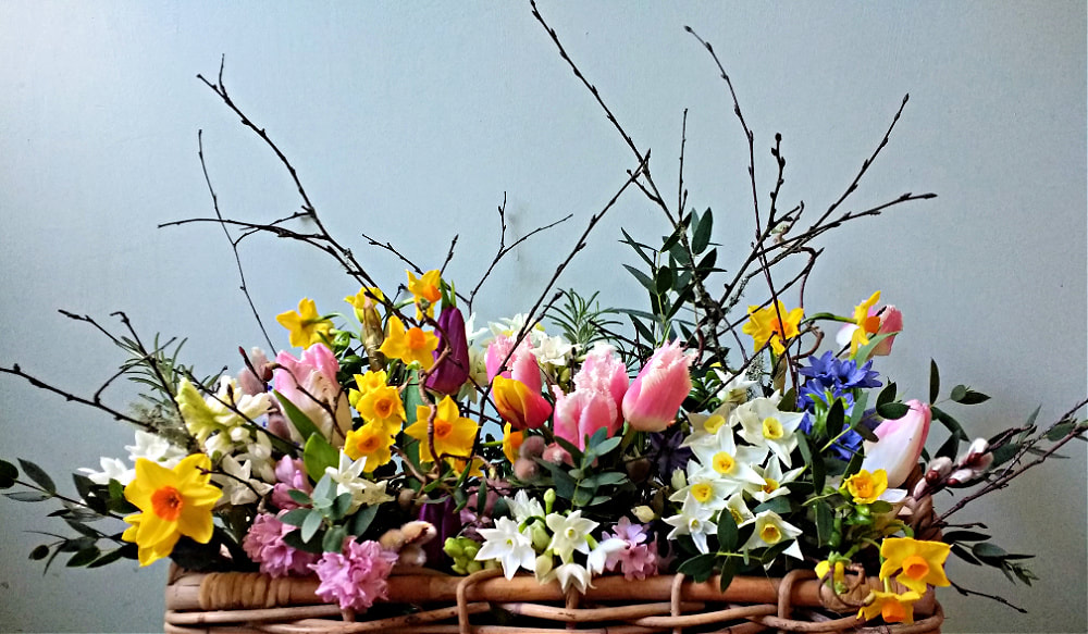 Bright British-grown Spring flowers arranged naturally in a basket without floral foam. Copyright www.GallowayFlowers.co.uk 