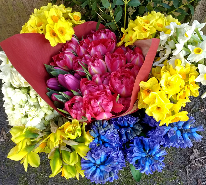 'Bloom Bucket' of British-grown flowers in March. Copyright www.GallowayFlowers.co.uk