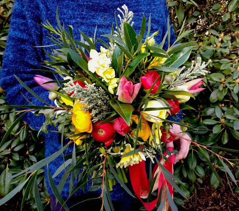 Bold bridal bouquet for a spring wedding made of red & yellow tulips, ranunculus, narcissi & foliage www.GallowayFlowers.co.uk