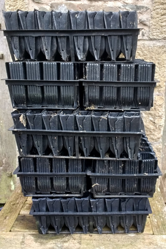 Stack of root trainer pots ready for growing Seweet Pea seedlings at a Flower Farm in Scotland. Copyright www.GallowayFlowers.co.uk