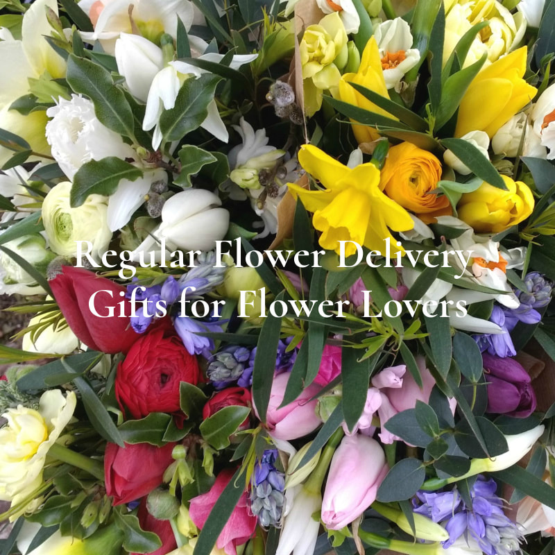 Regular Flower Subscriptions of locally grown flowers in Dumfries & Galloway, Scotland. Copyright www.GallowayFlowers.co.uk